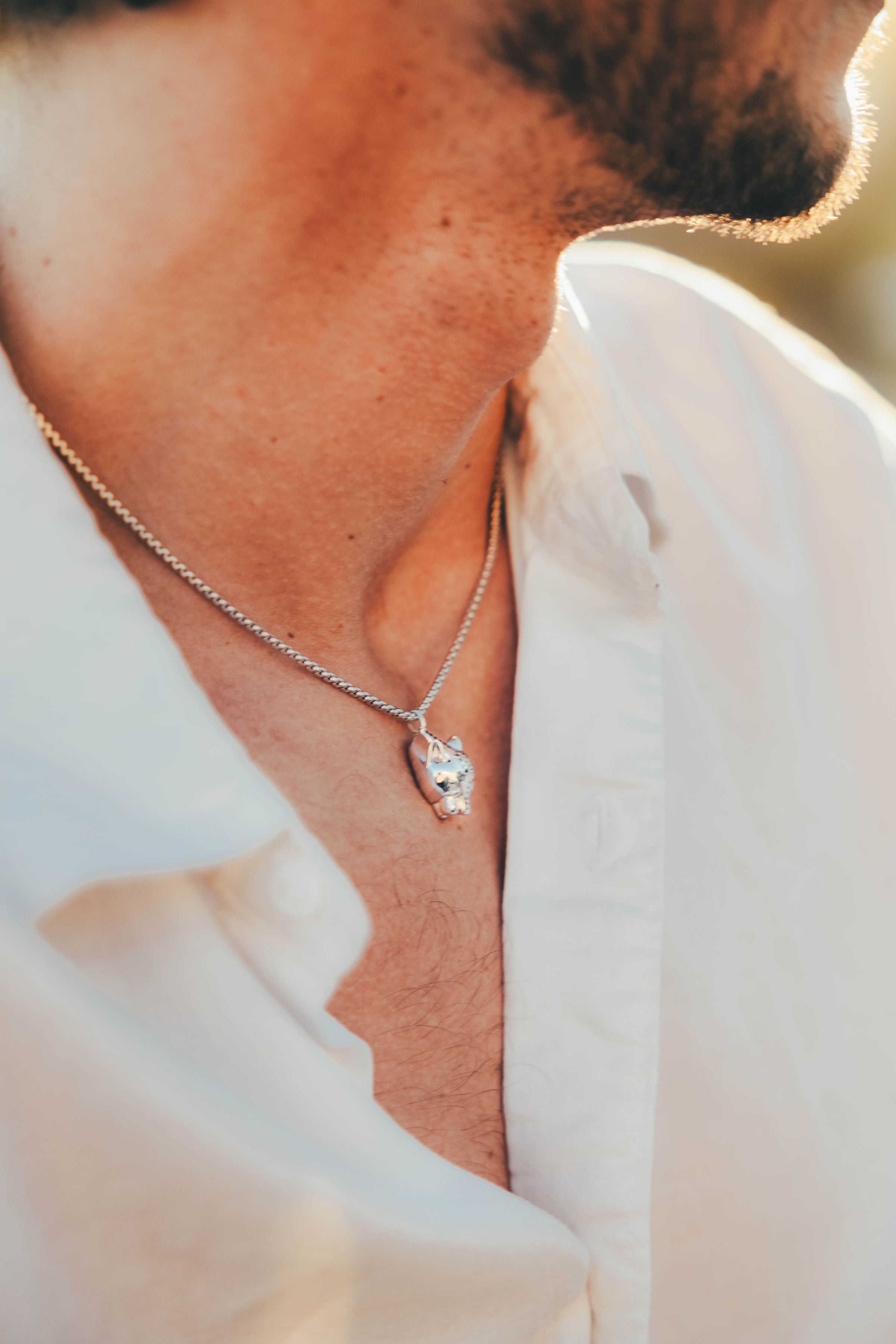 Pride of the Wild Necklace